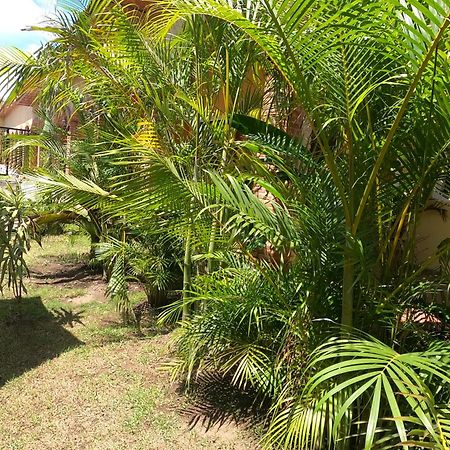 Hotel Boutique Sol Y Luna Spa Ajijic Exterior foto