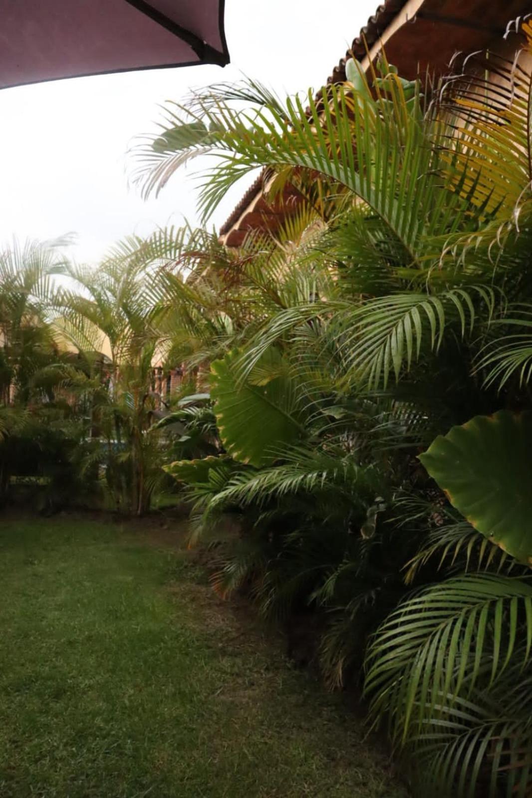 Hotel Boutique Sol Y Luna Spa Ajijic Exterior foto