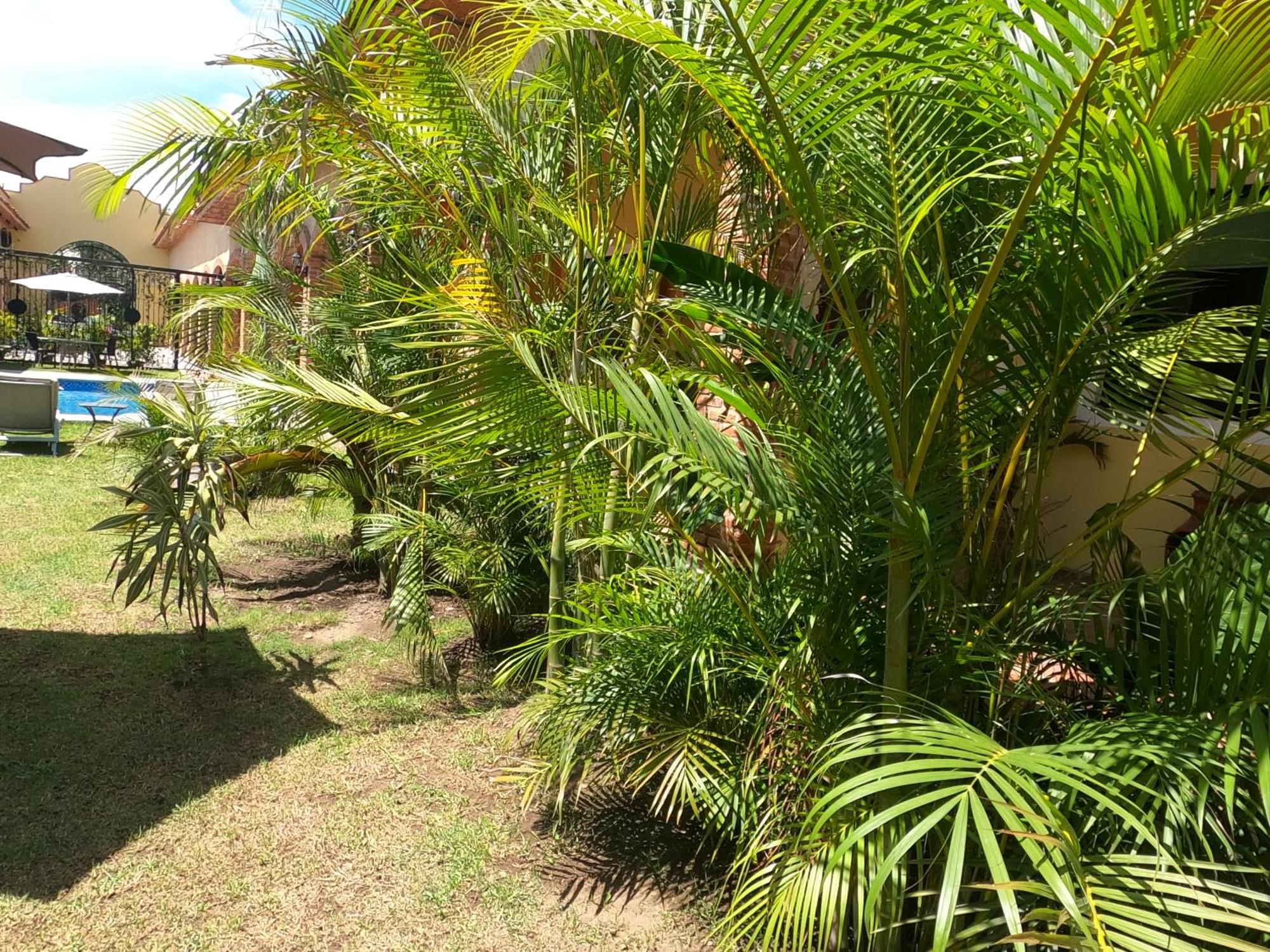 Hotel Boutique Sol Y Luna Spa Ajijic Exterior foto